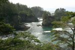 PICTURES/Cape Flattery Trail/t_Scenic6.JPG